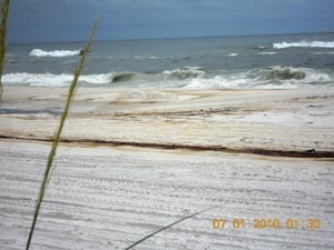 An oil smeared Pensacola Beach