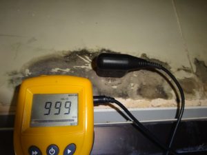 CGC Moisture Meter Reading